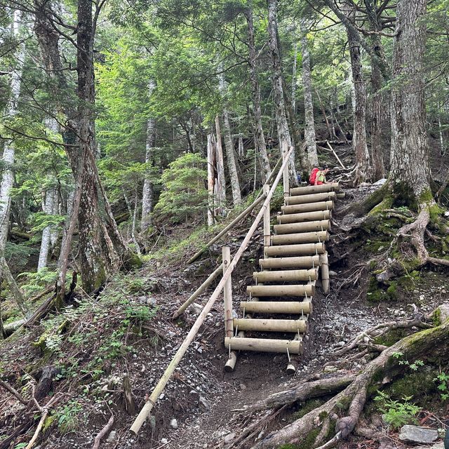 【山梨】いざ夏山へ！広河原から白根御池までの登山道