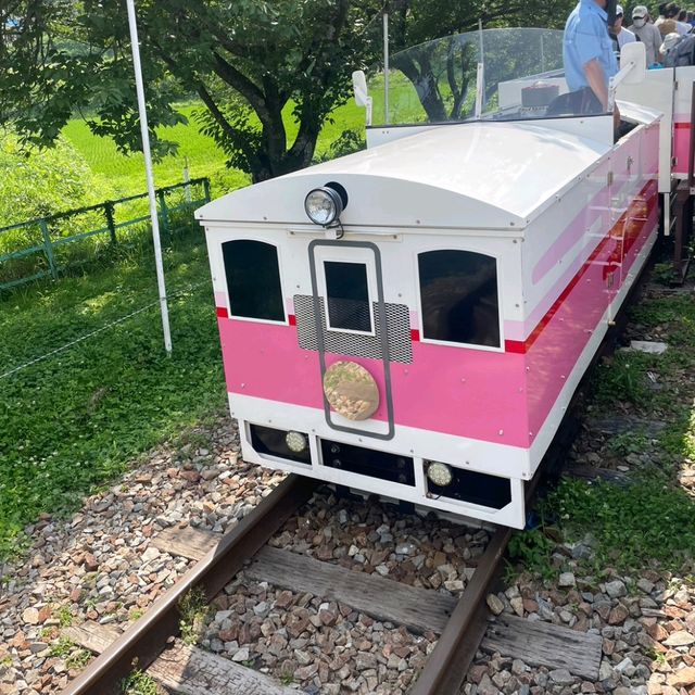 高千穂駅 (高千穗小火車)