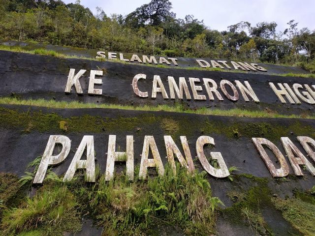 CHILLING IN CAMERON HIGHLANDS, PAHANG!