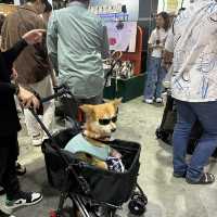 คนรักสัตว์ห้ามพลาดงาน pet expo 2023 🐕