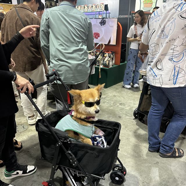 คนรักสัตว์ห้ามพลาดงาน pet expo 2023 🐕