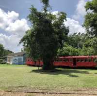 來臺南後壁區「烏樹林」，體驗世界上最慢的火車