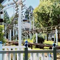 🎢🎡 六福村 🎠 兒童天地 🎡🎪