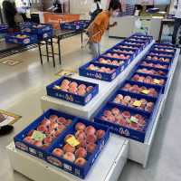 日本香川縣 - JA香川飯南・桃直売所