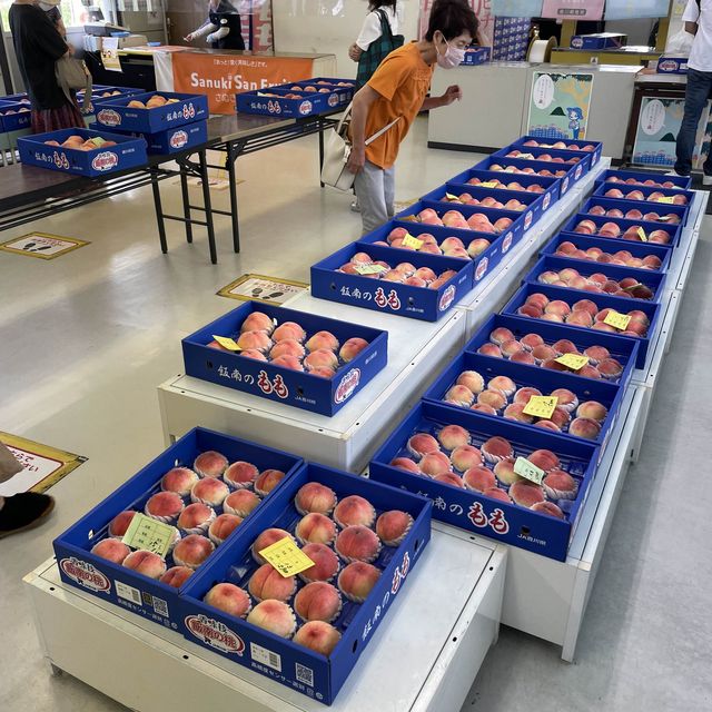 日本香川縣 - JA香川飯南・桃直売所