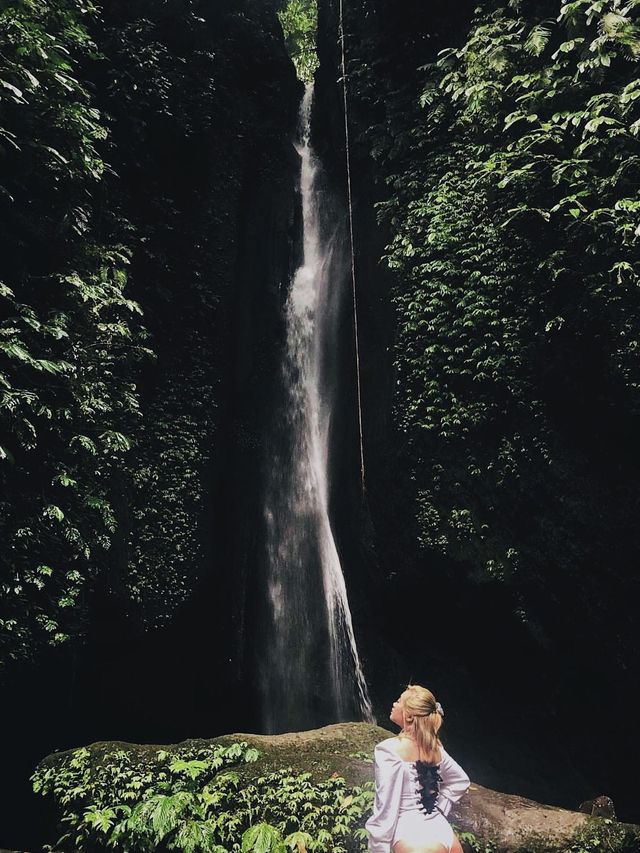 Beautiful Waterfall Surrounded By Jungle⁉️🏞️