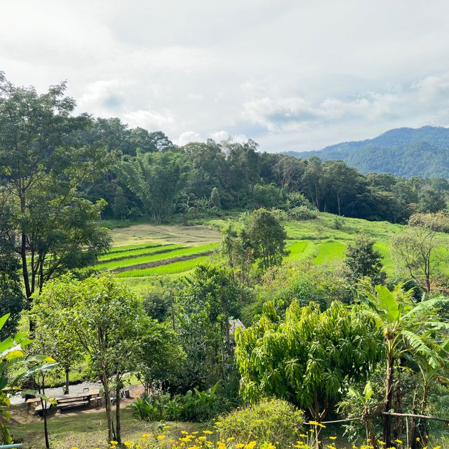 📍Seclee Farm & Camping ริมลำธาร กลางหุบเขา