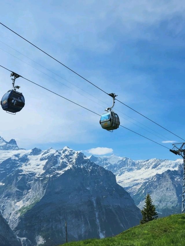 🇨🇭 스위스 필수코스 피르스트