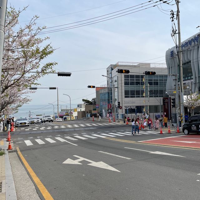 釜山🚂可愛新景點～天空膠囊小火車