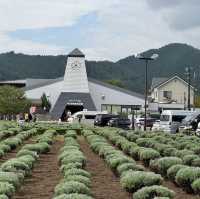 河口湖大石公園