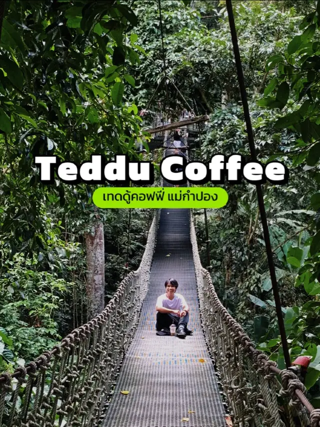 Teddu Coffee & Inn Maekampong
