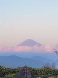 入場無料！隈研吾建築の富士山スポット「日本平夢テラス」