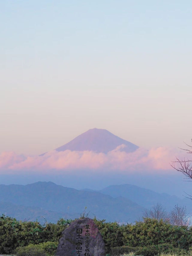 入場無料！隈研吾建築の富士山スポット「日本平夢テラス」