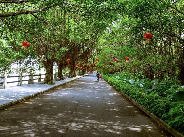 Nature's Symphony in Guangzhou