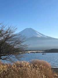 คาวากุจิโกะ (Kawaguchiko) 