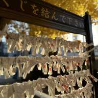 兩個東京巿區隱敞超美銀杏神社