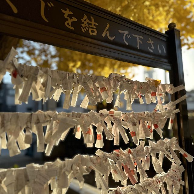 兩個東京巿區隱敞超美銀杏神社