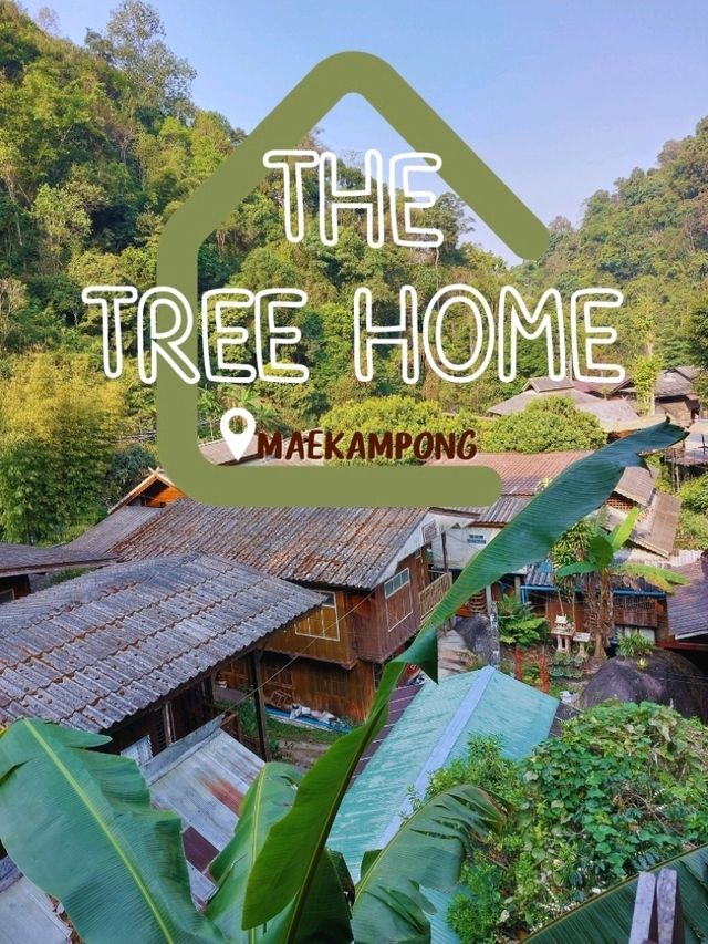 THE TREE HOME , แม่กำปอง , เชียงใหม่ THE TREE HOME , แม่กำปอง , เชียงใหม่