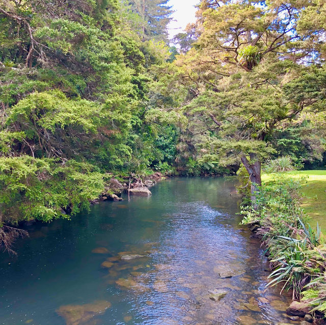 Whangārei Wonders: Nature's Embrace Beckons