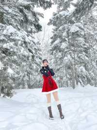 머리까지 쌓인 눈을 볼 수 있는 일본 설경 스팟❄️