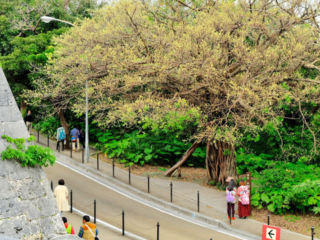 Shuri Castle Park