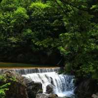悠遊水庫聽水韻💧新山水庫