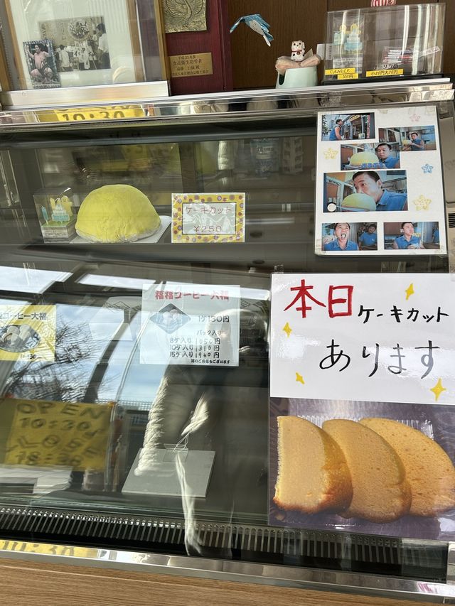 일본에서 핫한 치즈케이크 추천🍰🧀