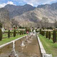 Nishat Garden Srinagar 