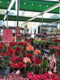 建國假日花市：花卉與玉器的亞洲最大市場 🌸🛍️