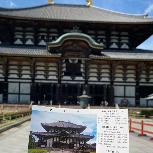 Todaiji Temple 