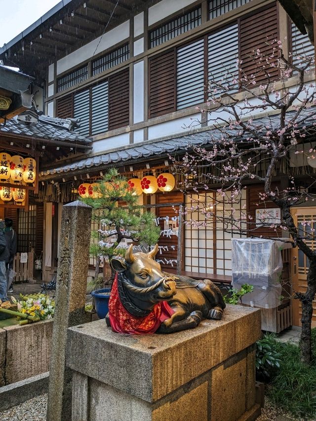 繁華街、唯一の神社【錦天満宮】の梅の花は、まだ八分咲きだけど綺麗だった