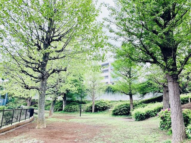 Parks with Baseball Field