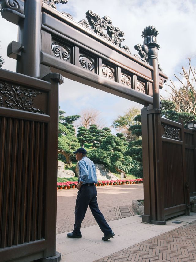 香港  |  走進鬧市里禪意十足的園林秘境~  