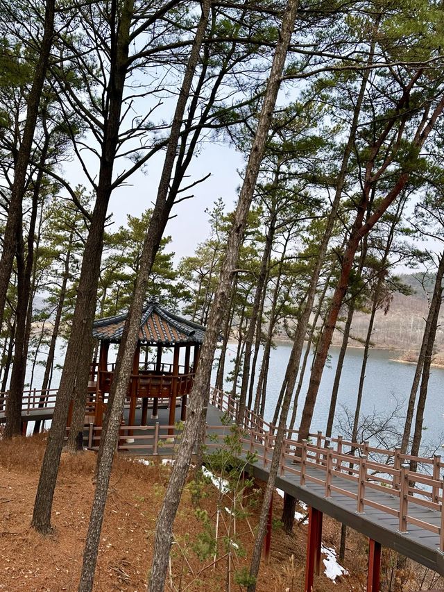 오리들과 멋진 자연 경관 풍경을 보며 ⛴️ 산책할 수 있는 마장호수 둘레길