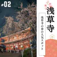 🌸必見！都内の夜桜攻略！🌸