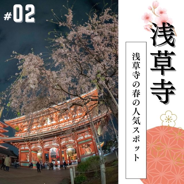 🌸必見！都内の夜桜攻略！🌸