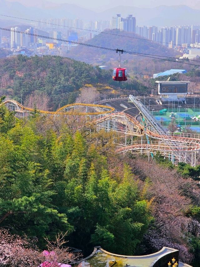 벚꽃놀이 가기 좋은 대구 이월드 83타워