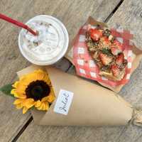 🍒 JULIET.cnx คาเฟ่ฟีลยุโรปย่านนิมมาน 🌻