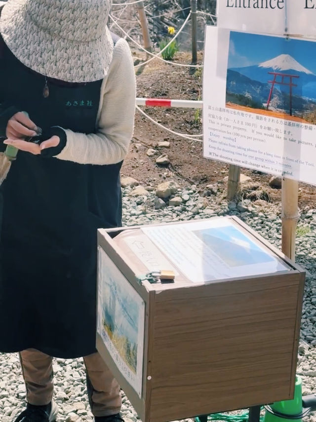 🇯🇵 河口湖 河口淺間神社：富士山背景下的天空鳥居，自駕遊或的士上山最方便🗻