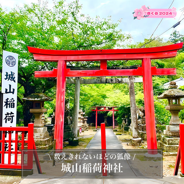 【城山稲荷神社/島根県】数えきれないほどの狐像