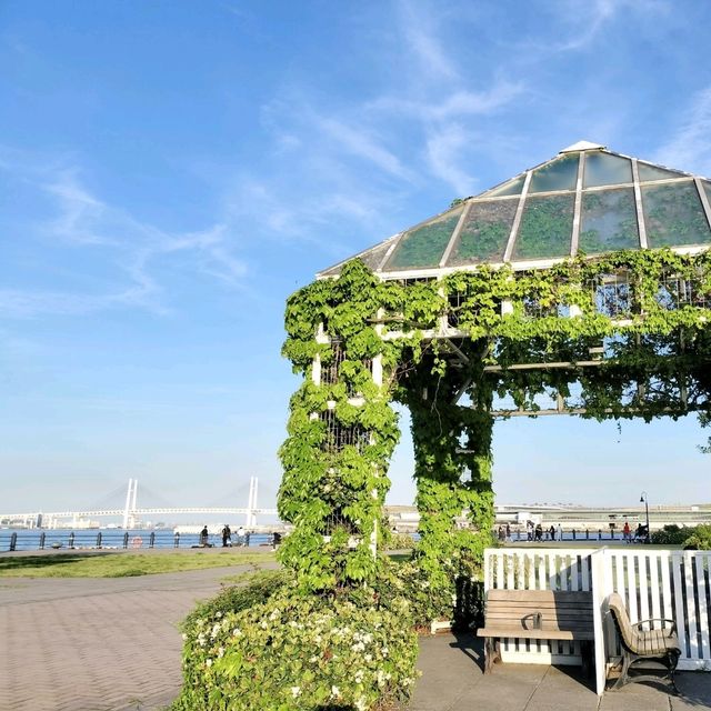 GWどこいく?✨横浜赤レンガパーク GWどこいく?✨横浜赤レンガパーク