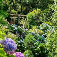 芥川櫻堤公園：城市綠洲，感受大自然之美