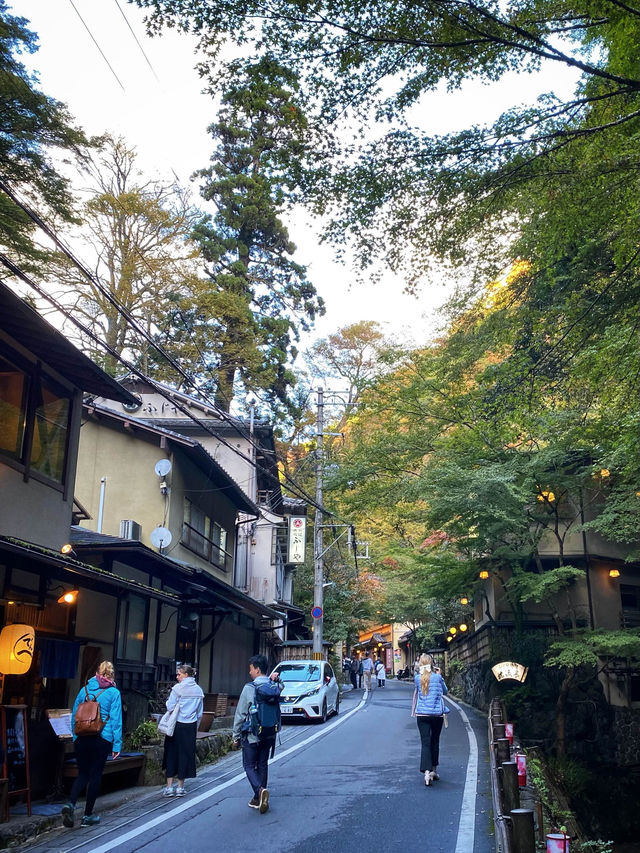 「貴船神社」、「鞍馬寺」：京都近郊小旅行，絕景雲珠櫻和滿山紅葉