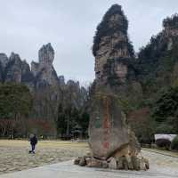 只能用壯麗來形容的「🌳張家界國家森林公園」🌳