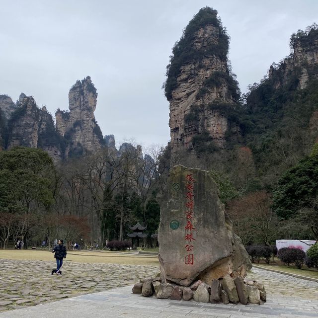 只能用壯麗來形容的「🌳張家界國家森林公園」🌳