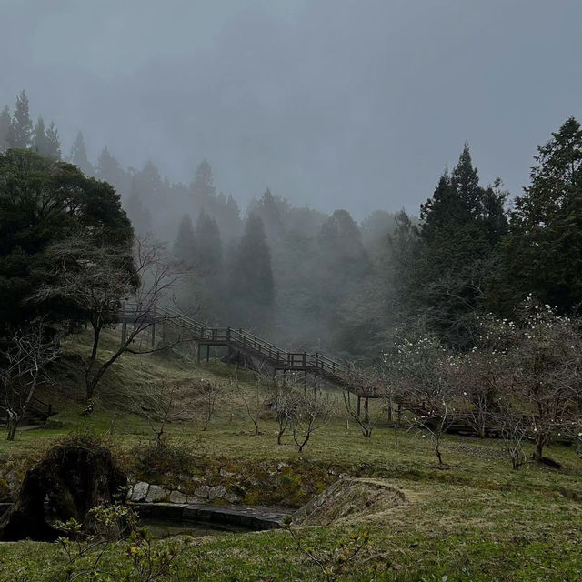 七星山步道🎄壯闊峰景