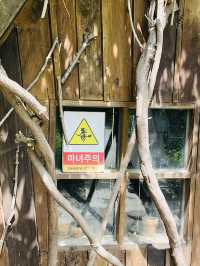 봄데이트는 서울숲에서~