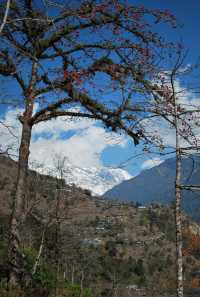 Set foot on the world-famous Annapurna, Nepal