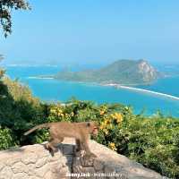 จุดชมวิวหาดเตยงาม วิวทะเลเห็นเกาะ สวยมาก #ชลบุรี