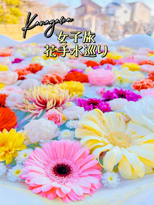 【埼玉・川越】都内から1時間!!花手水と御朱印がとってもかわいいお寺さん🤍